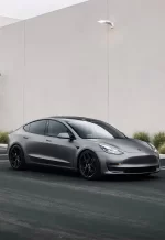 PET AMG Selenite Gray YC148 - Image 4