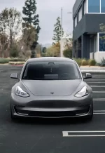 PET AMG Selenite Gray YC148 - Image 3