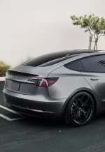 PET AMG Selenite Gray YC148 - Image 7