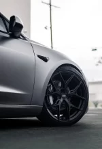 PET AMG Selenite Gray YC148 - Image 5