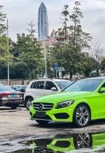 PET Apple Green YC028