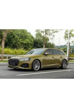 PET Battle Green (Audi) YC010