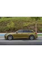 PET Battle Green (Audi) YC010