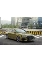 PET Battle Green (Audi) YC010