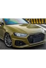 PET Battle Green (Audi) YC010
