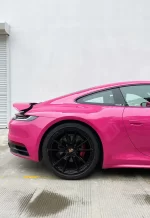 PET BeetRoot Purple YC133