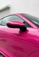 PET BeetRoot Purple YC133