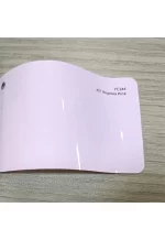 PET Begonia Pink YC144 - Image 2