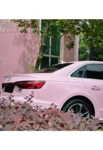 PET Begonia Pink YC144 - Image 8