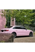 PET Begonia Pink YC144 - Image 5