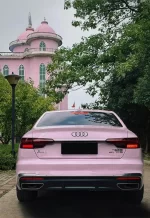 PET Begonia Pink YC144 - Image 6