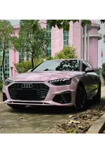 PET Begonia Pink YC144 - Image 3