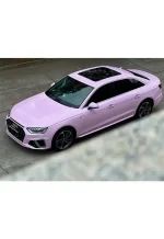 PET Begonia Pink YC144 - Image 4