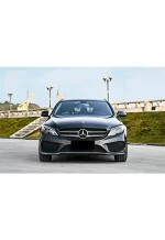 PET Bright Graphite Gray YC091 - Image 8