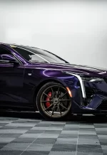 PET Brilliant Back Turn Purple YC119 - Image 3