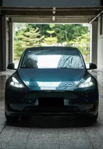 PET British Green YC088 - Image 3