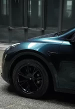 PET British Green YC088 - Image 7