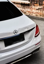 PET Brooklyn Gray YC136 - Image 8