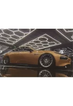 PET Caramel Brown YC114 - Image 7