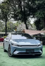 PET Cement Gray YC049