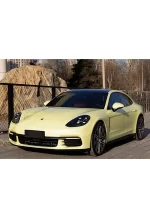 PET Chanel Yellow YC093 - Image 3