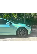 PET Colorful Laser Tiffany YC085 - Image 6