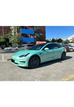 PET Colorful Laser Tiffany YC085 - Image 3