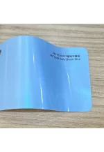 PET Coral Gray Turn Blue YC131 - Image 2