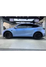 PET Coral Gray Turn Blue YC131 - Image 8