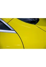 PET Corn Yellow YC034