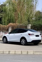 PET Crescent White YC102 - Image 4