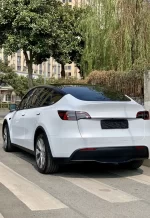 PET Crescent White YC102 - Image 6