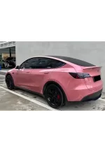 PET Dark Plum Sauce YC143 - Image 8