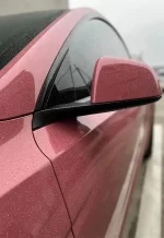 PET Dark Plum Sauce YC143 - Image 5