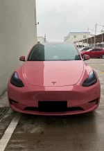 PET Dark Plum Sauce YC143 - Image 6