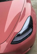 PET Dark Plum Sauce YC143 - Image 4