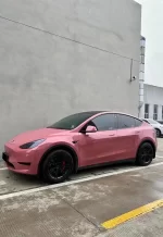 PET Dark Plum Sauce YC143 - Image 3