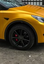 PET Energy Yellow YC117 - Image 8