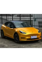 PET Energy Yellow YC117 - Image 6