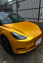 PET Energy Yellow YC117 - Image 3