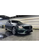 PET Fairy Brown Green YC107 - Image 4