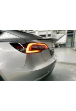 PET GT Silver (Porsche)7 YC004