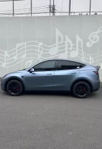 PET Ghost Metal Gray Blue YC125 - Image 7