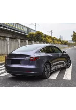 PET Gray Violet YC146 - Image 8