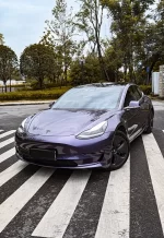 PET Gray Violet YC146 - Image 6