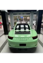 PET Grayish Green6 YC110