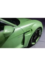 PET Gucci Green YC126 - Image 4