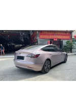 PET Iceberry Pink (Porsche) YC006