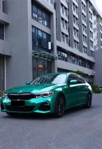 PET Isle Man Green YC111 - Image 6