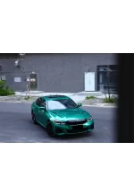 PET Isle Man Green YC111 - Image 3